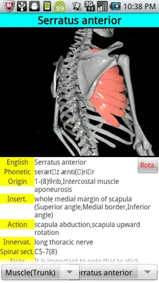 3DAnatomyLite android App screenshot 1